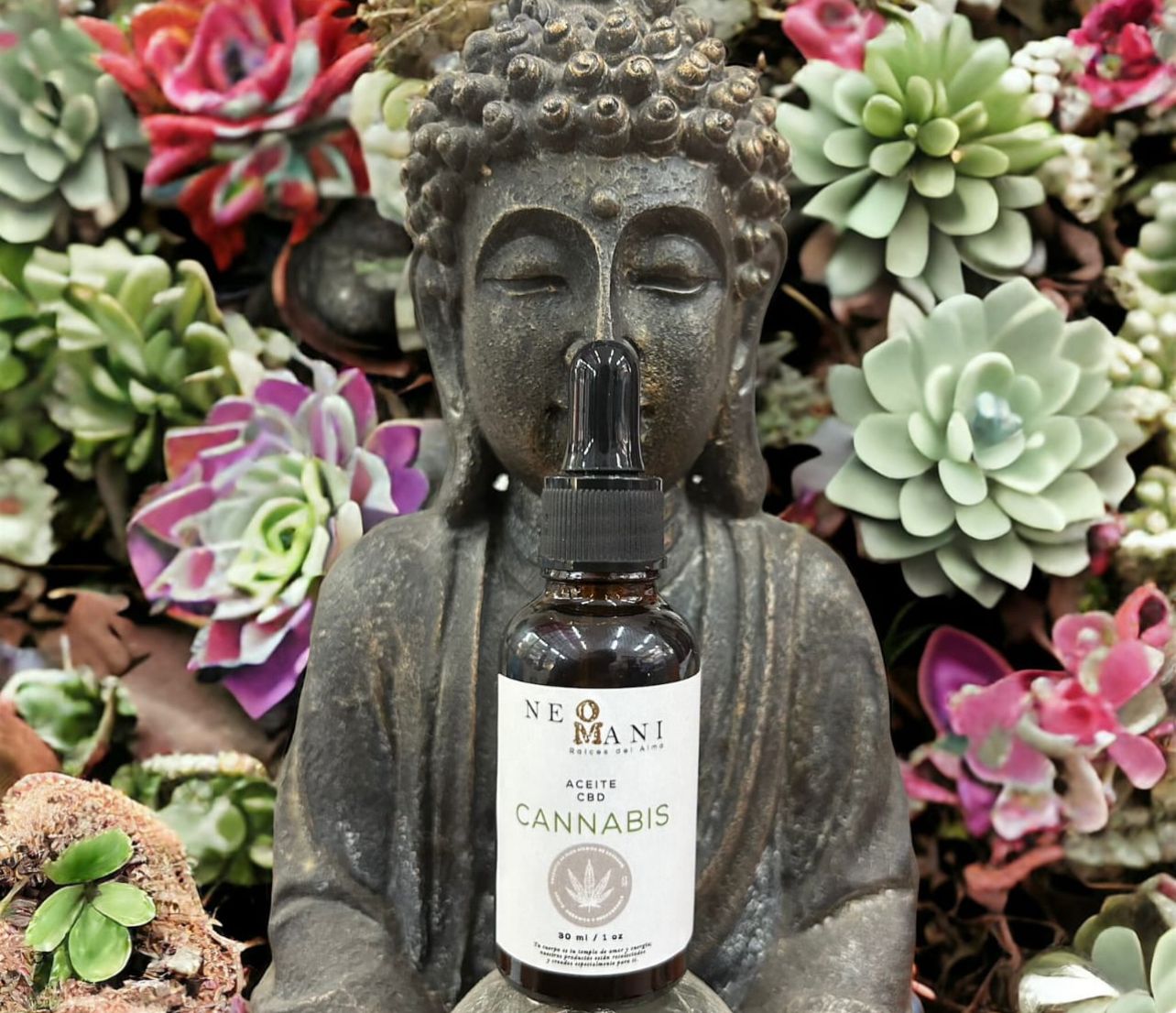 ACEITE CBD
